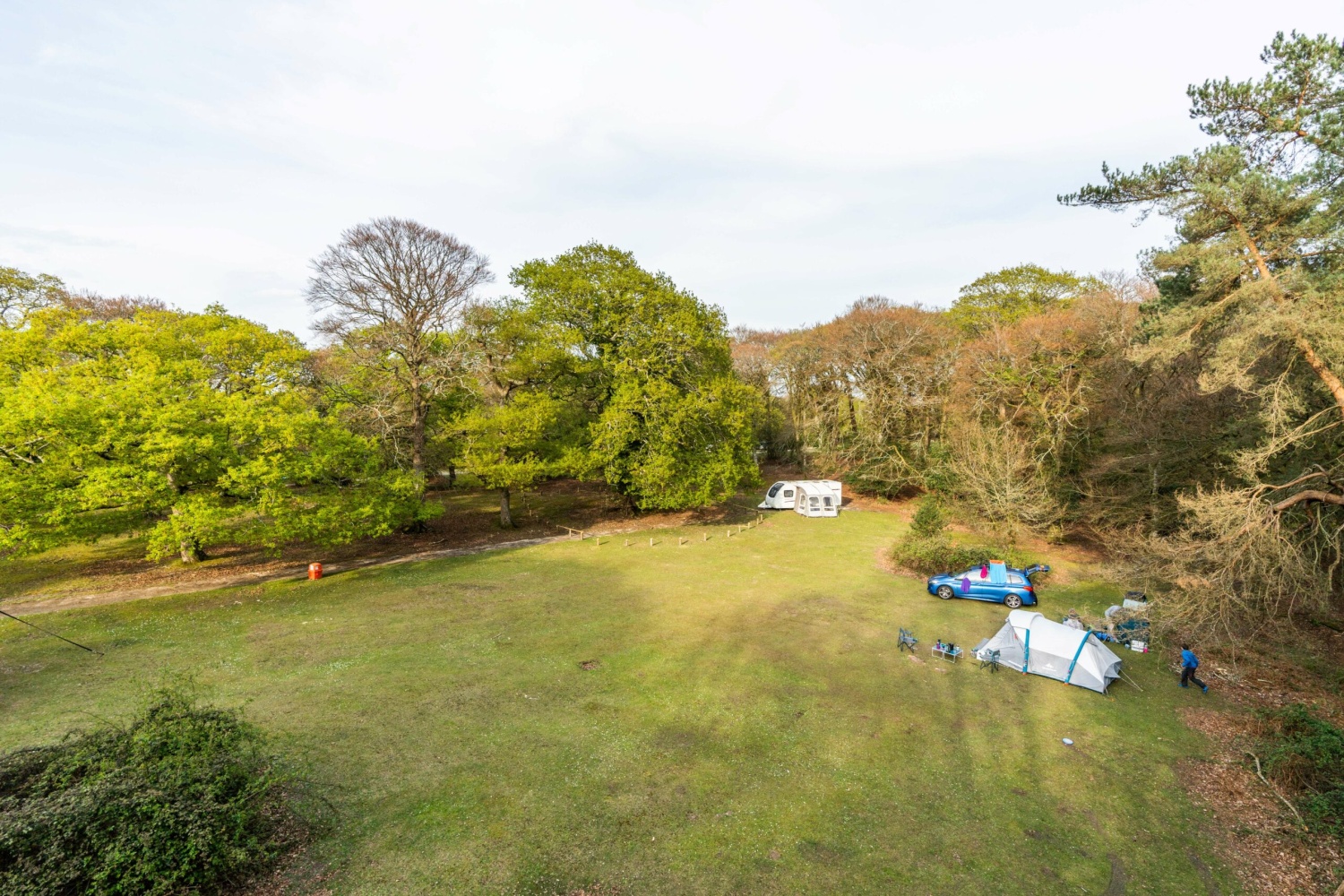 Campsites in the new forest with electric hook clearance up